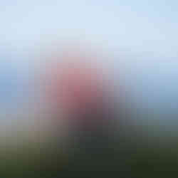 Couple kissing near Mt. Rainier