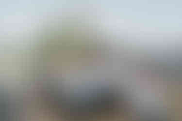 Groom and five ring bearers dressed alike, suspenders, bowties, hats, outdoors.