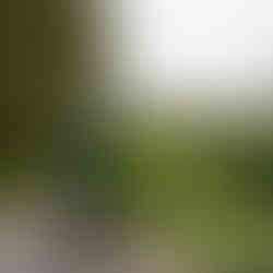 Man in dark suit overlooks landscaped garden with pond under overcast sky.