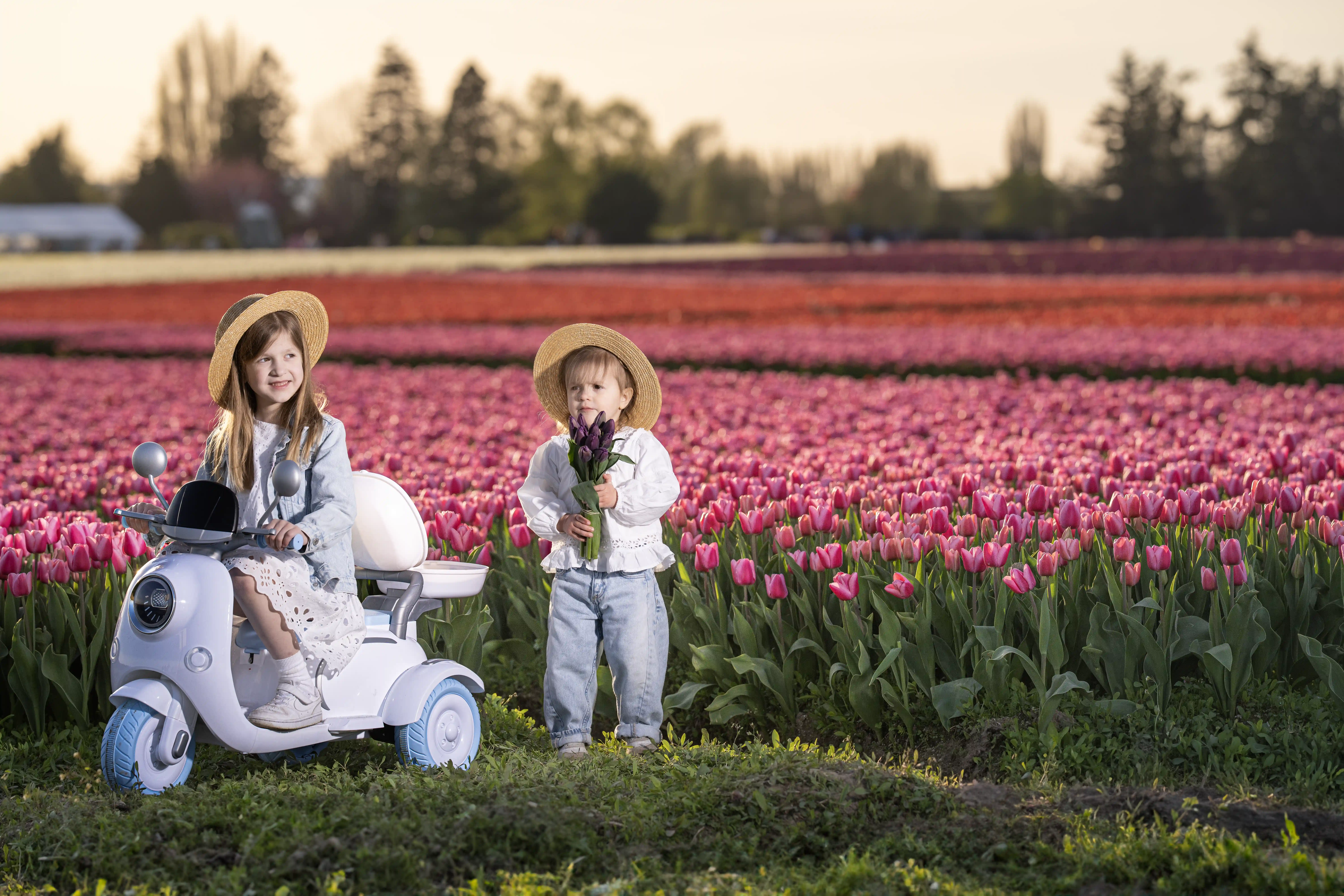 Two children in hats, one on scooter, in field of pink tulips.
