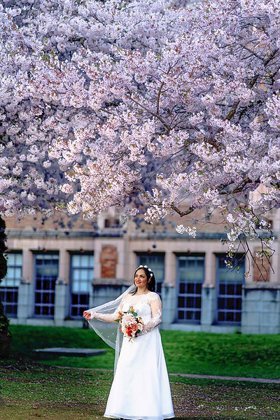 Bride in white dress under cherry blossoms, Wedding, Seattle wedding photographer, PhotoYari