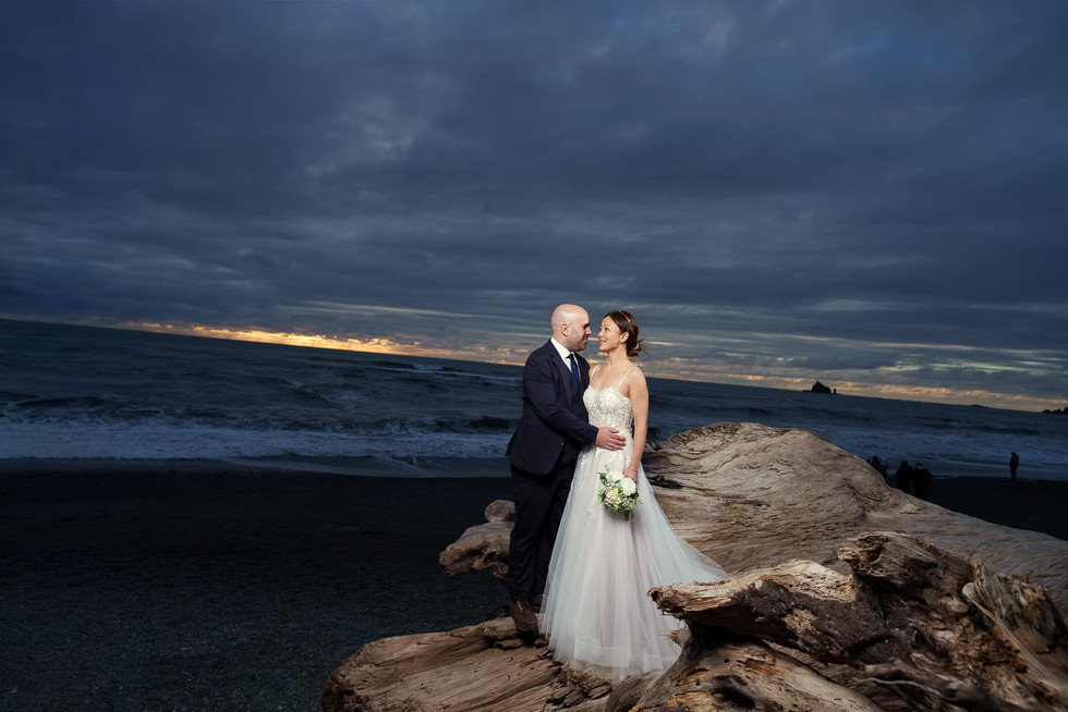 Couple embracing on driftwood for Olympic National Park elopement.