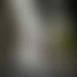 Bride and parents on a charming porch at Sanders Estate.