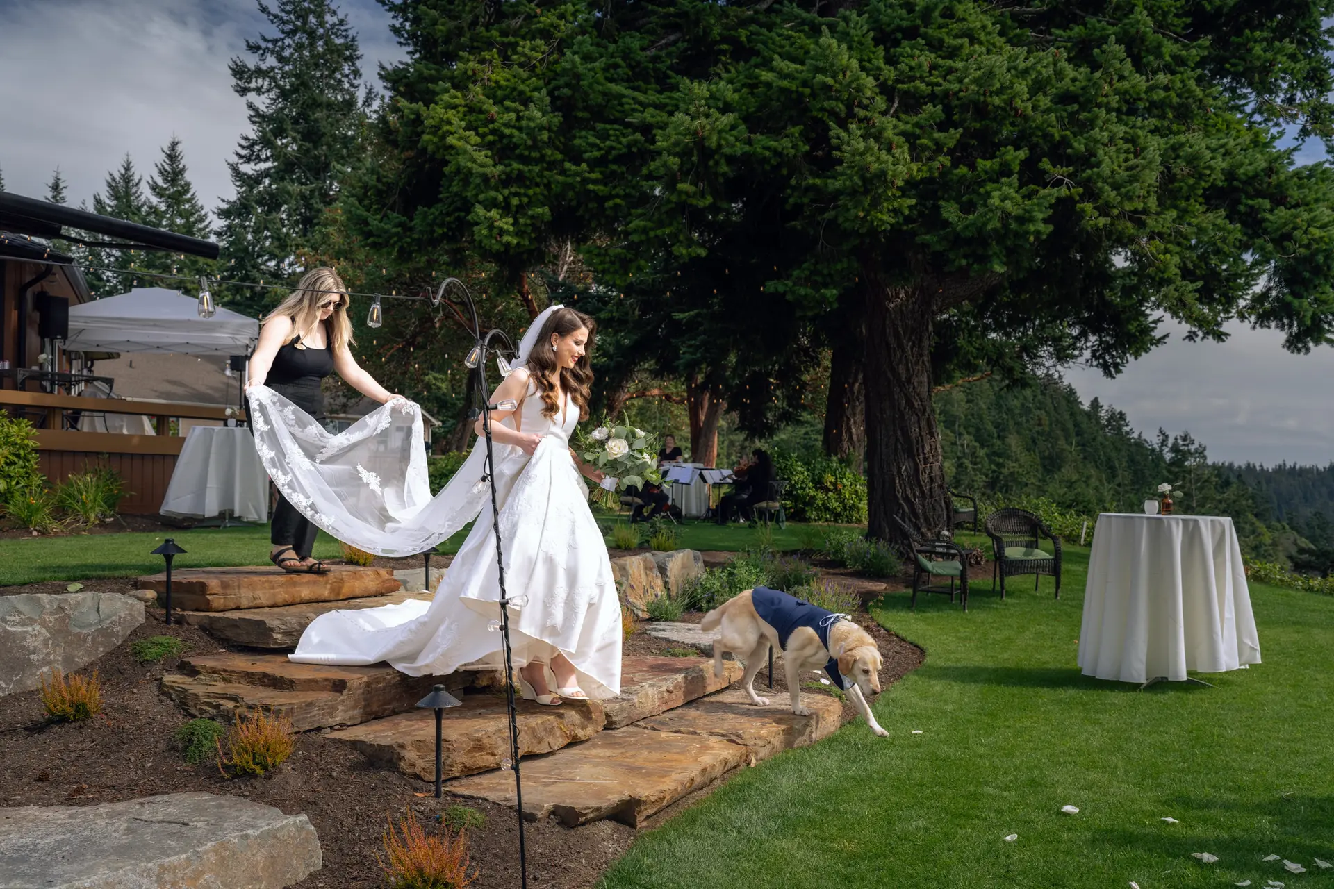 Bride walking down stone steps, dog nearby, outdoor wedding
