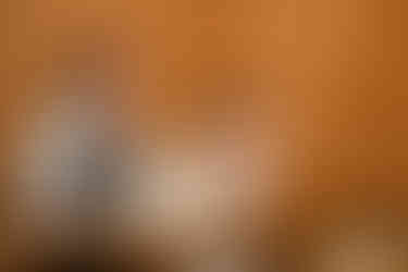 Bride with cake on her face, groom smiles at wedding reception.