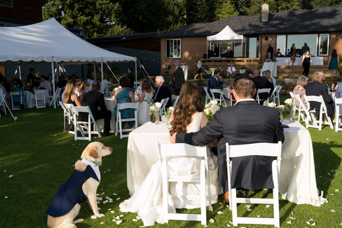 Bride, groom, and dog at an outdoor backyard wedding reception.