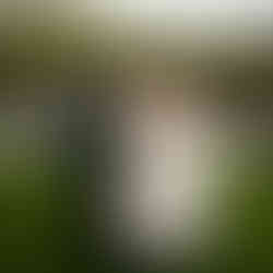 Happy bride and groom walk on grass at Sanders Estate in Auburn.