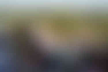 Guests seated at an intimate farm wedding ceremony outdoors, nature background.