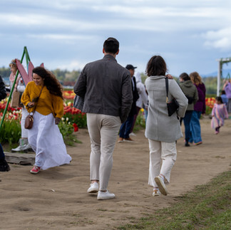 People enjoying the Skagit Tulip Festival