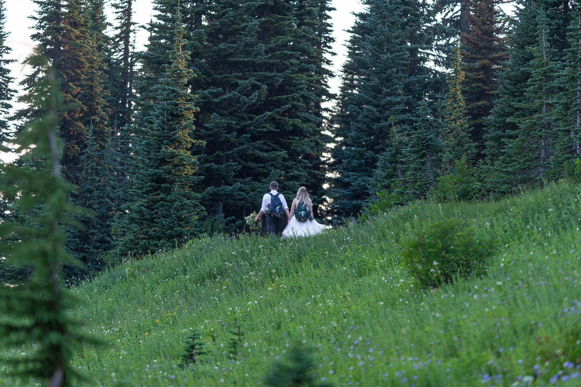 Couple holding hands, walking away in a forest clearing