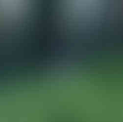 Couple holding hands, walking away in a forest clearing