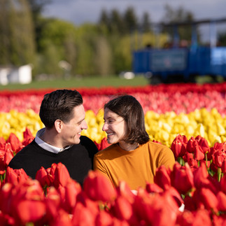 Happy couple in red and yellow tulips, Skagit Tulip Festival