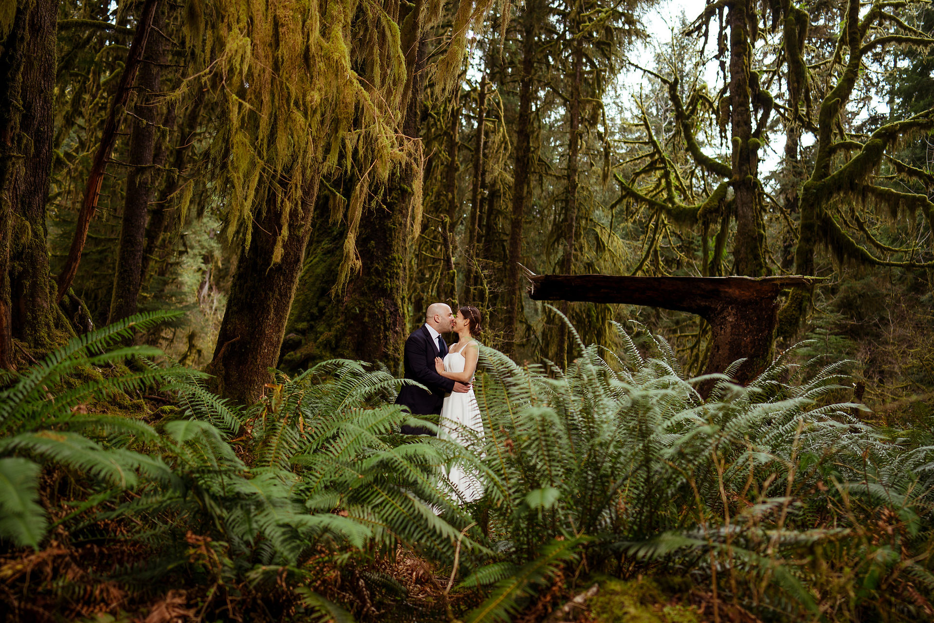 Olympic National Park elopement couple kissing in mossy forest