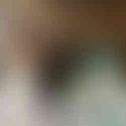 Bride in white gown toasts with friends at indoor wedding reception.