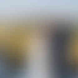 Bride, groom exchanging rings outdoors under white arch with officiant.