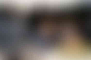 Guests listen to woman speaking into microphone at intimate farm wedding.