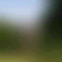 Couple kissing, Green Lake proposal