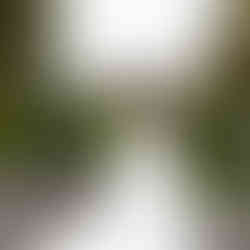 Groom admires bride's elegant gown train at Sanders Estate in Auburn.