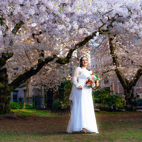 Seattle University Cherry Blossom Photography