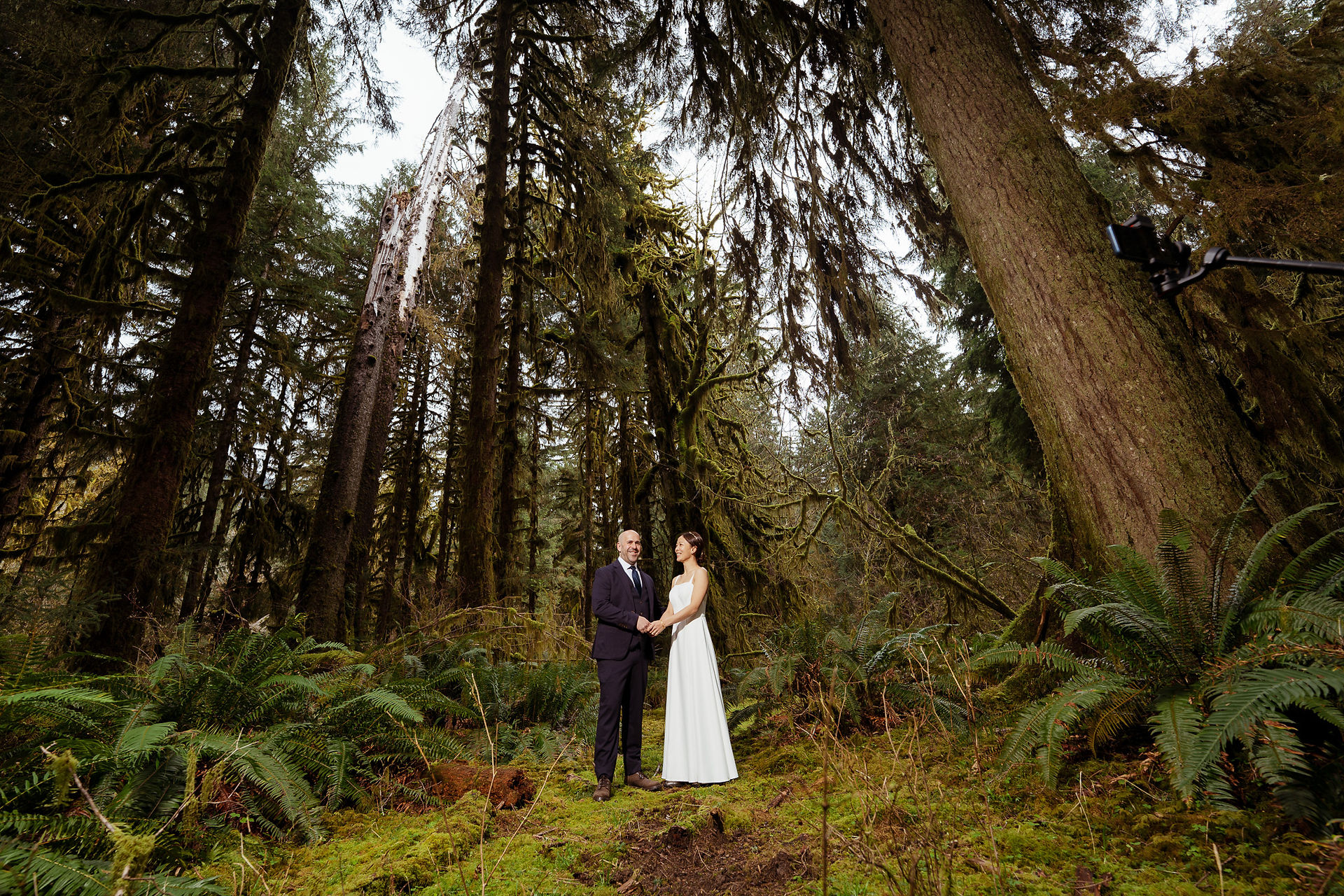 Olympic National Park elopement in mossy forest