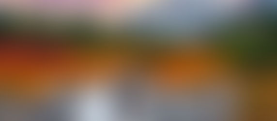 Bride and groom eloping at Mount Rainier with scenic mountain backdrop in Washington State