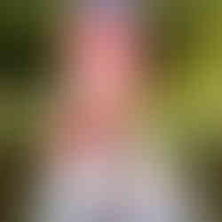 Man speaking at microphone, US flag backdrop