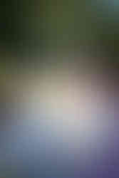 Happy African-American bride holding bouquet at intimate farm wedding.