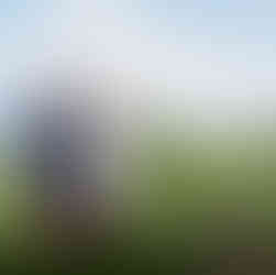 Romantic couple's proposal at Green Lake, Seattle