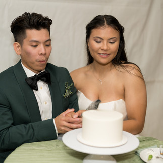 A happy bride and groom prepare to cut their small white wedding cake.