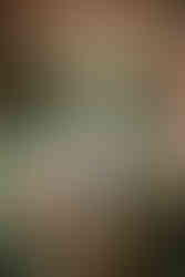 Romantic bride and groom embrace on rustic bridge amidst blooming flowers.