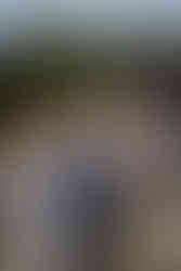 Smiling Black couple in wedding attire at outdoor farm venue.