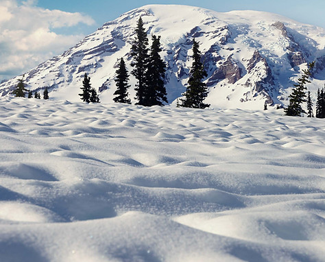 Snowy landscape with Mount Rainier in the background.