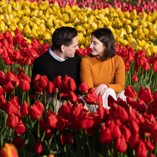 Couple gazing lovingly in tulips at Skagit Tulip Festival