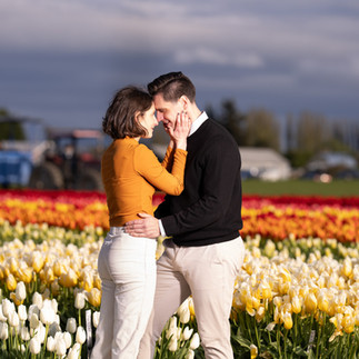 Engaged couple embracing in tulips at Skagit Tulip Festival