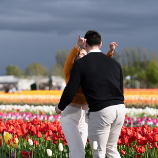 Couple dancing in red, yellow tulips at Skagit Tulip Festival