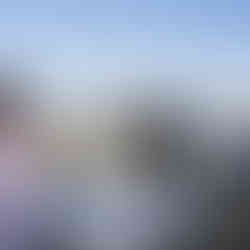 Outdoor wedding ceremony with African American couple, officiant, and guests.