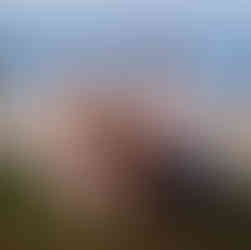 Jessica & Brian with Goldie at Meadowdale Beach