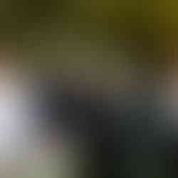 Five men in formal suits standing together outdoors.