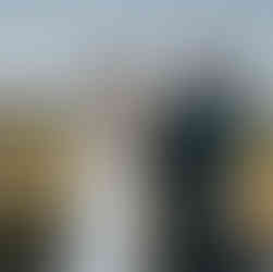 Bride and groom exchanging rings at their beautiful outdoor wedding ceremony.