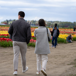 Couple walking through a field of tulips at Skagit Tulip Festival