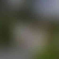 Couple walking away holding hands