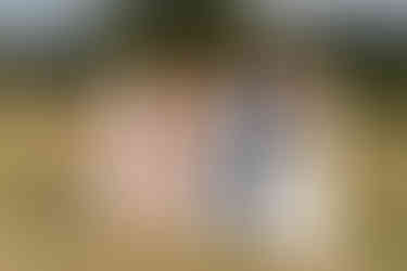 Five women smiling at an intimate farm wedding, wearing pastel dresses.