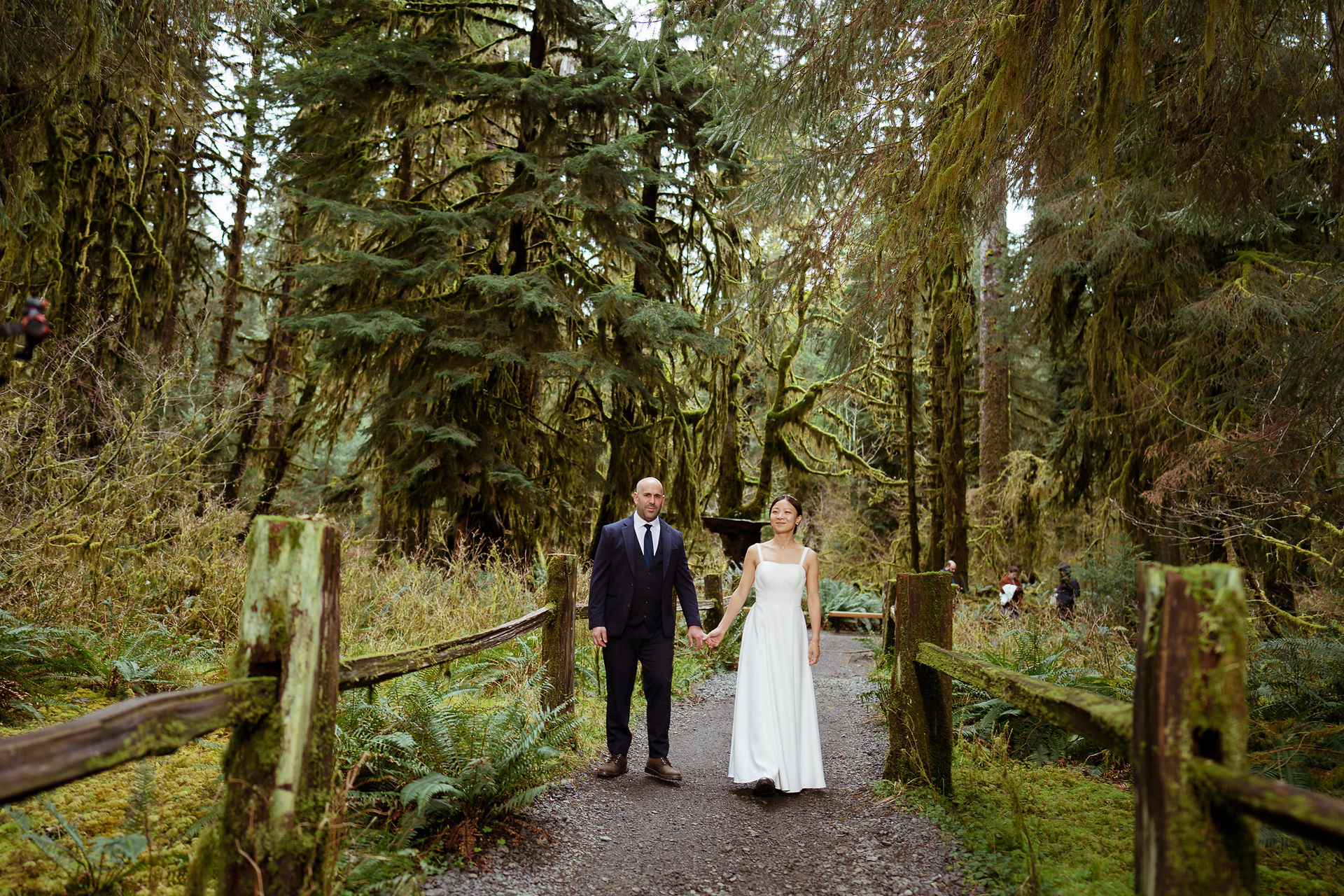 Couple holding hands in Olympic National Park forest