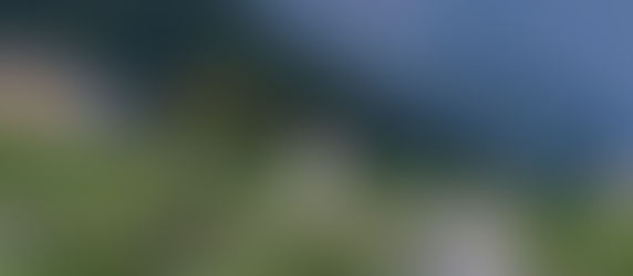 Top 10 Breathtaking Mt Rainier Elopement Spots for Your Perfect Day in 2026