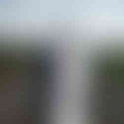 Smiling Black bride and groom holding hands at an outdoor farm wedding.