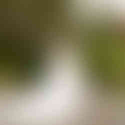 Groom lovingly adjusts bride's white wedding dress at Sanders Estate Auburn.