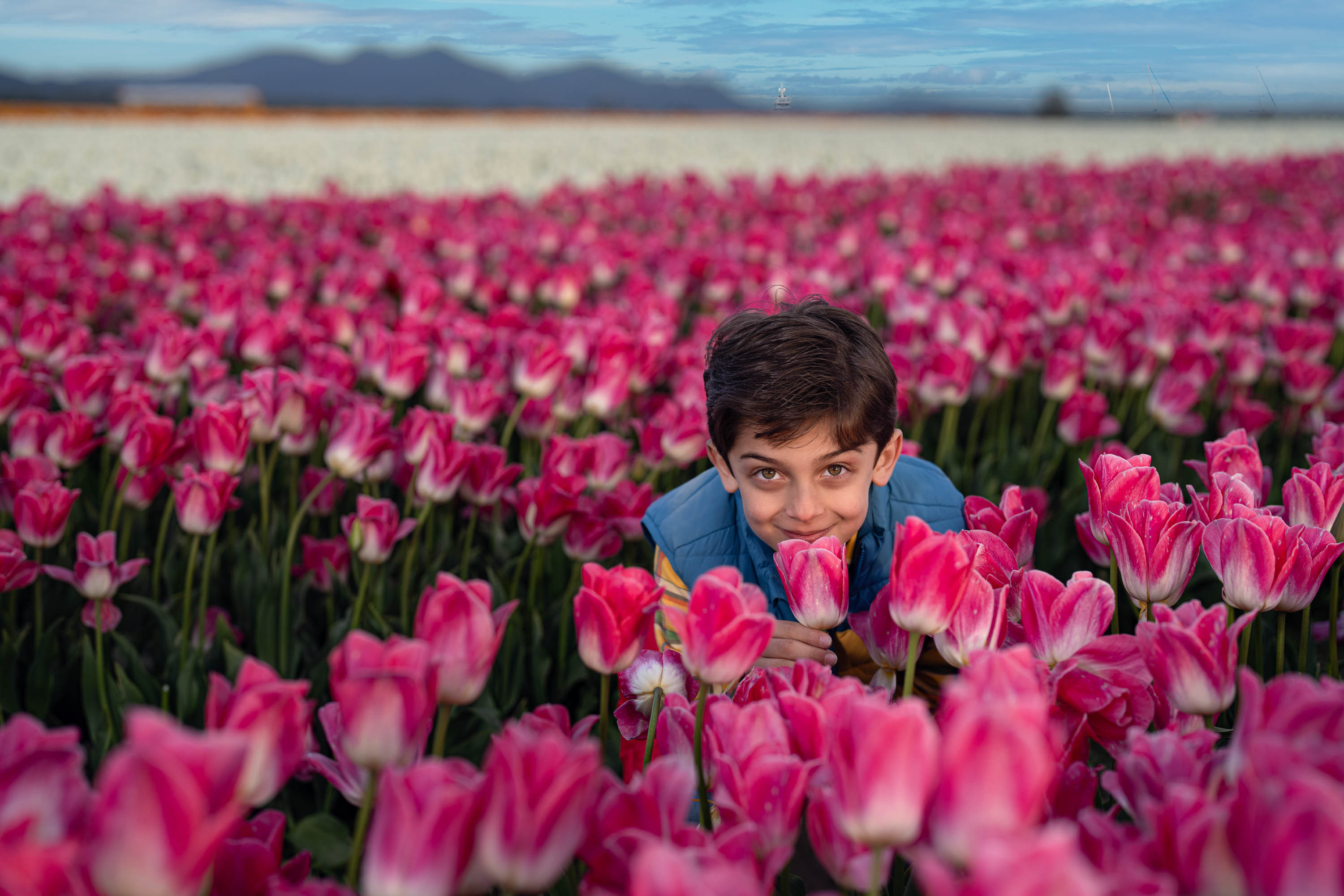 Young boy smiling in a vibrant pink tulip field, tulip festival 2026.