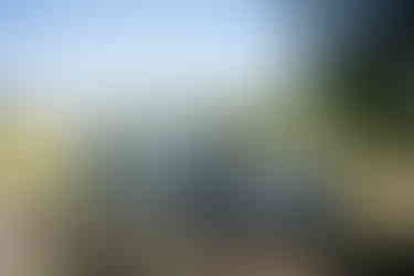 Five men smiling in blue suits at an outdoor farm wedding.