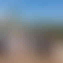 Diverse group of ten adults posing happily outdoors at a farm wedding.
