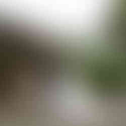 Bride and groom posing outside Sanders Estate in Auburn, surrounded by greenery.